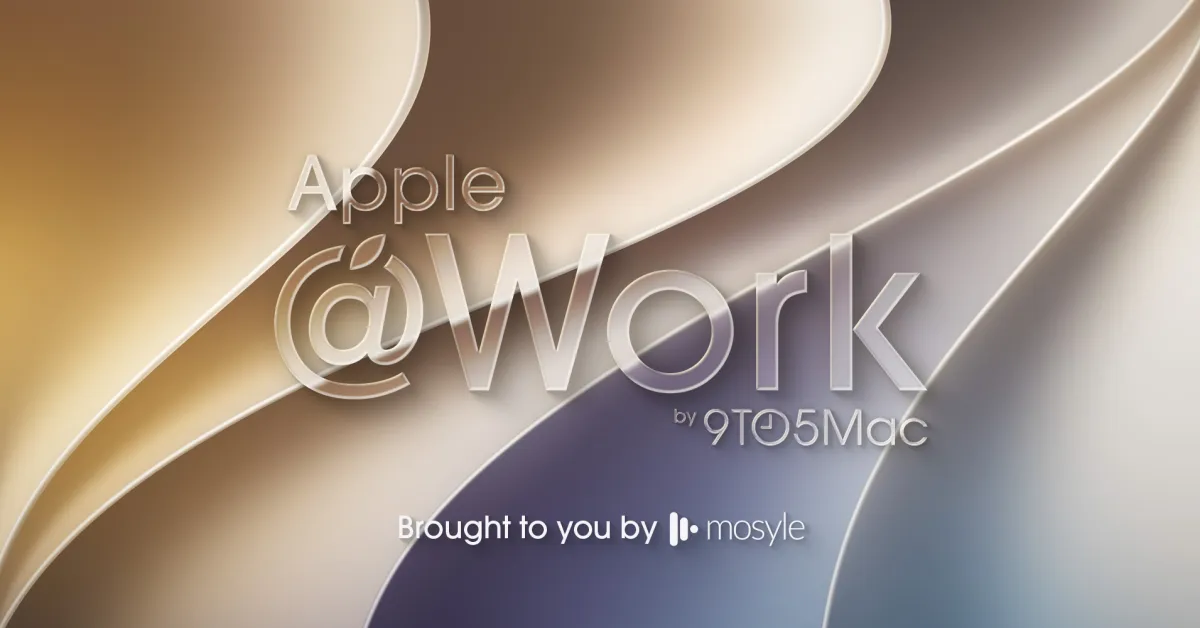 Enterprise IT administrator configuring Apple Business Manager roles on computer screen