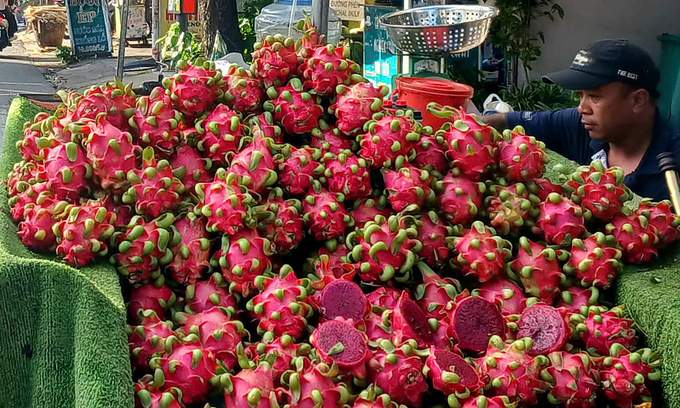 Red-fleshed dragon fruits displayed for sale in a local market setting