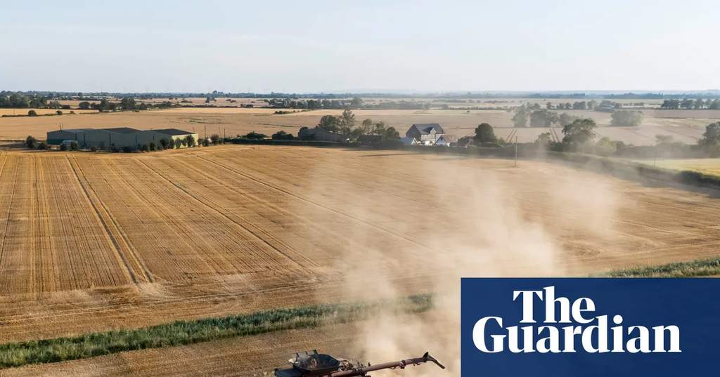 Parched agricultural field in England during severe summer drought conditions