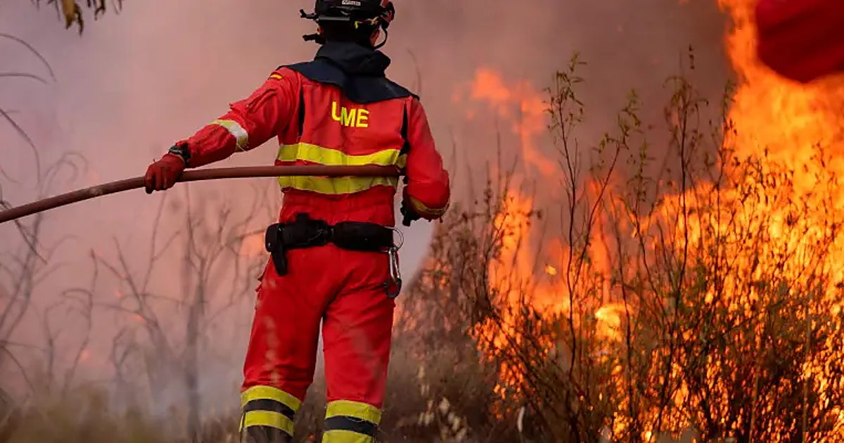 Emergency services responding to a wildfire incident in Spain